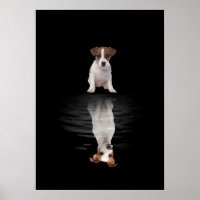 Jack Russell Liebe Niedlich Jack Russell