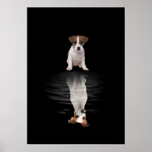 Jack Russell Liebe Niedlich Jack Russell Poster