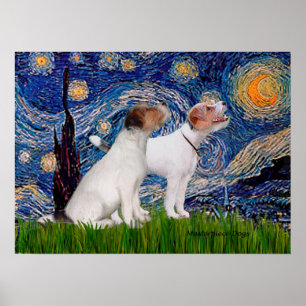 Jack Russell Pair 4 - Starry Night Poster