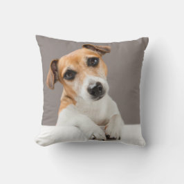 Jack Russell Puppy Sweet Adorable Baby Jack Kissen