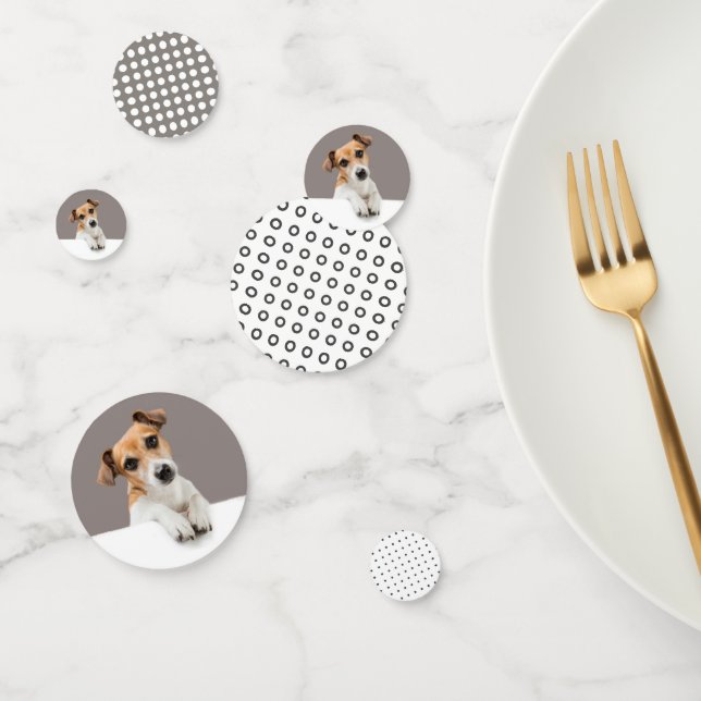 Jack Russell Puppy Sweet Adorable Baby Russell Konfetti (Gruppe)