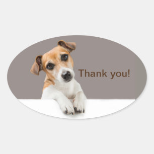 Jack Russell Puppy Sweet Adorable Vielen Dank Ovaler Aufkleber