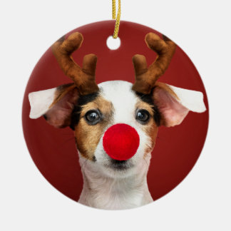 Jack Russell Rentier Keramik Ornament