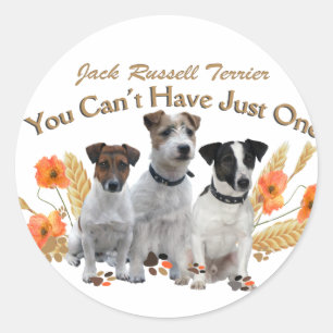 Jack Russell Sie können nicht nur ein Geschenk hab Runder Aufkleber