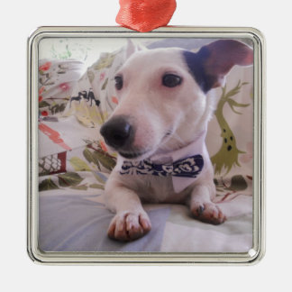 Jack Russell Terier Ornament Aus Metall