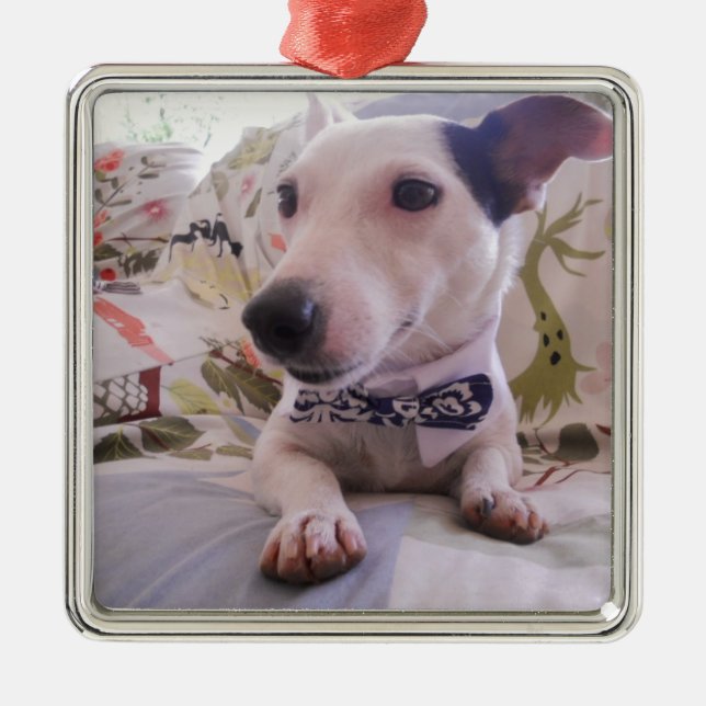 Jack Russell Terier Ornament Aus Metall (Vorne)