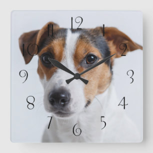 Jack Russell Terre Quadratische Wanduhr