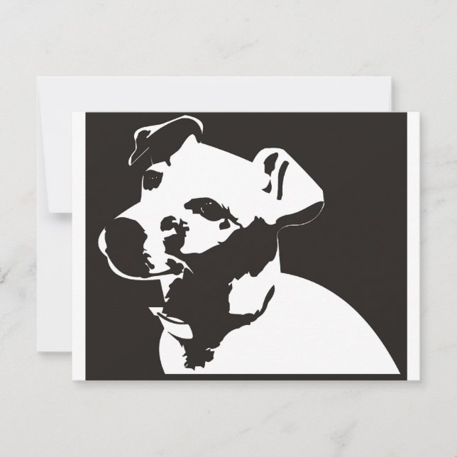 Jack Russell Terrier (Vorderseite)