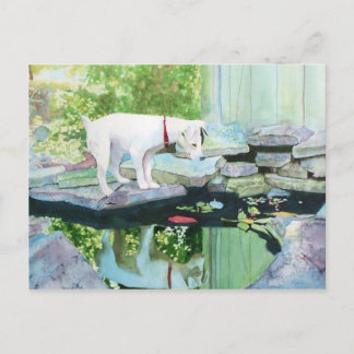 Jack Russell Terrier #1 Postcard Postkarte