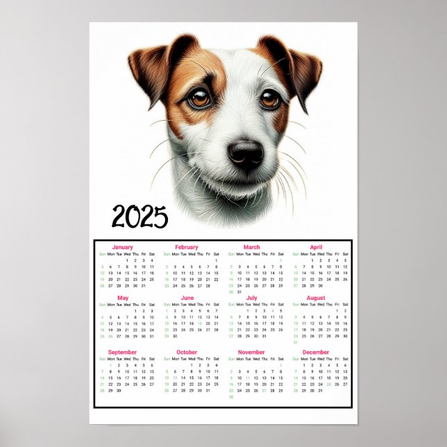 Jack Russell Terrier 2025 Kalender Poster (Vorne)