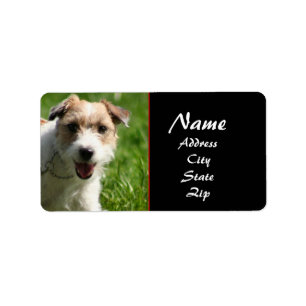 Jack Russell Terrier-Adressetikett Adressaufkleber