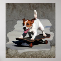 Jack Russell Terrier auf Skateboard