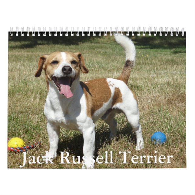Jack Russell Terrier Calendar Kalender (Titelbild)