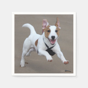 Jack_Russell Terrier, der 2.png laufen lässt Serviette