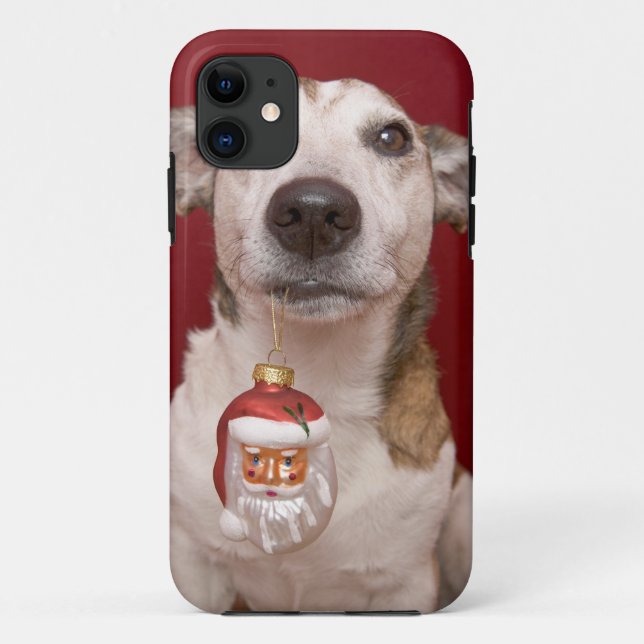 Jack-Russell-Terrier, der Weihnachtsverzierung Case-Mate iPhone Hülle (Rückseite)