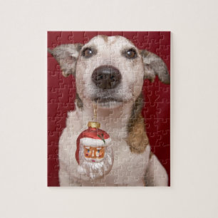 Jack-Russell-Terrier, der Weihnachtsverzierung Puzzle