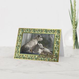 Jack Russell Terrier Dog Blank Christmas Card Feiertagskarte