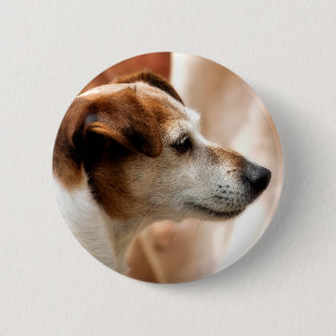 JACK RUSSELL TERRIER DOG BUTTON