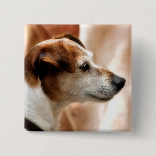 JACK RUSSELL TERRIER DOG BUTTON