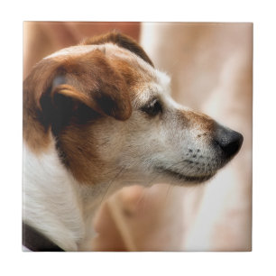 JACK RUSSELL TERRIER DOG FLIESE