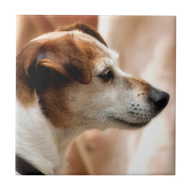 JACK RUSSELL TERRIER DOG FLIESE (Vorderseite)