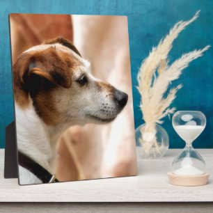 JACK RUSSELL TERRIER DOG FOTOPLATTE