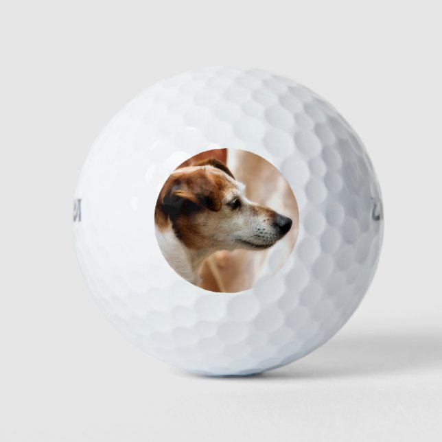 JACK RUSSELL TERRIER DOG GOLFBALL (Vorderseite)