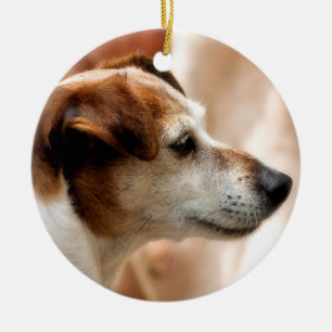 JACK RUSSELL TERRIER DOG KERAMIK ORNAMENT