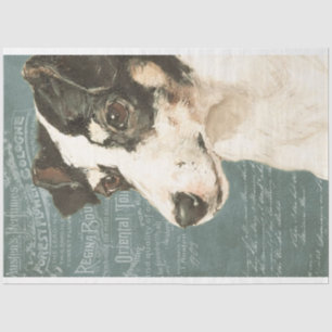 Jack Russell Terrier Dog mit Vintagem Ephemera Seidenpapier