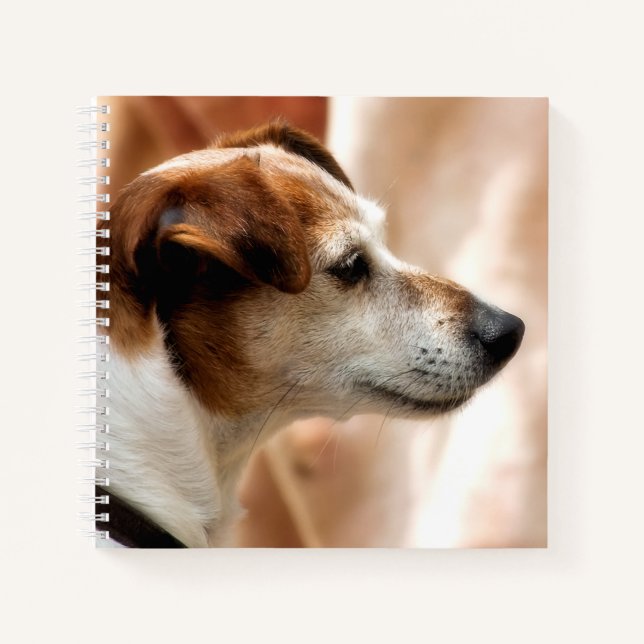 JACK RUSSELL TERRIER DOG NOTIZBUCH (Vorderseite)