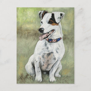 Jack Russell Terrier Dog Postkarte