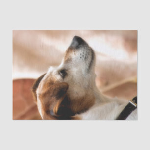 JACK RUSSELL TERRIER DOG SEIDENPAPIER