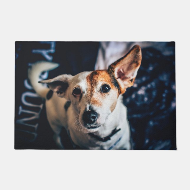 Jack Russell Terrier Doormat Fußmatte (Vorderseite)