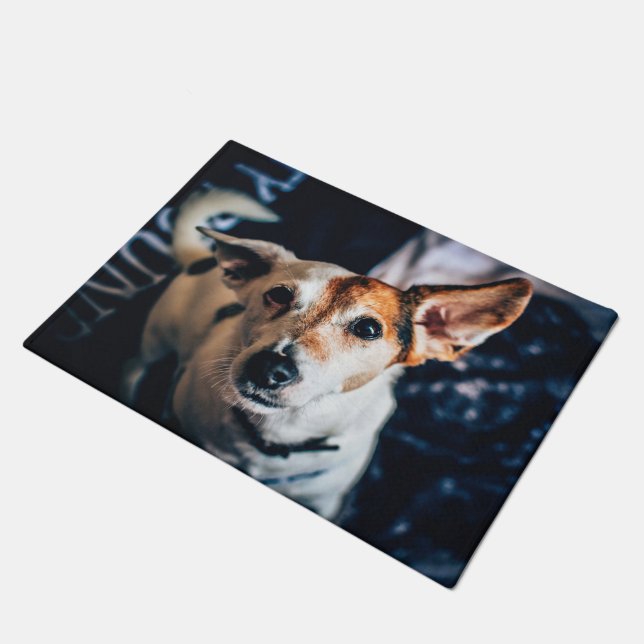 Jack Russell Terrier Doormat Fußmatte (Schrägansicht)