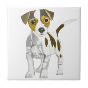 Jack Russell Terrier Fliese