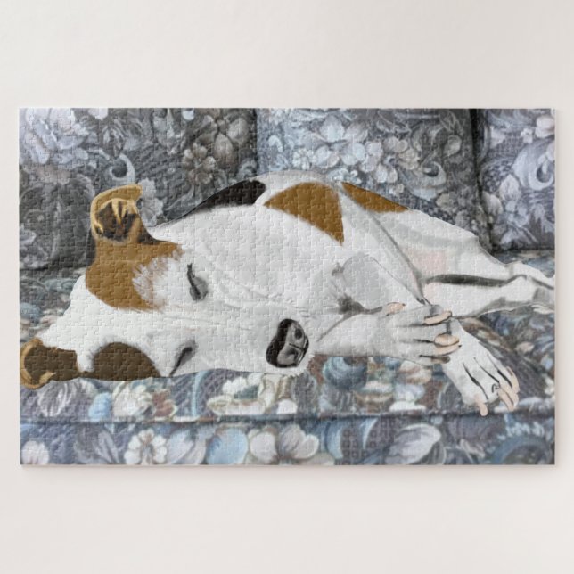Jack Russell Terrier friedlich Schlafen auf Sofa Puzzle (Horizontal)