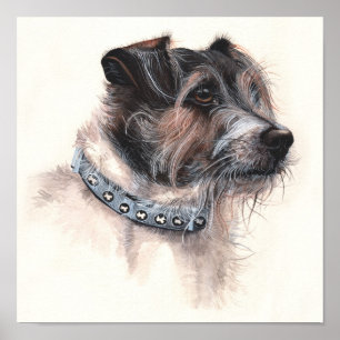 Jack-Russell-Terrier gemalt in der Wasserfarbe Poster