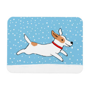 Jack-Russell-Terrier - glücklicher Magnet
