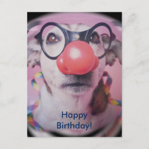 Jack Russell Terrier Happy Birthday Crazy Clown Postkarte