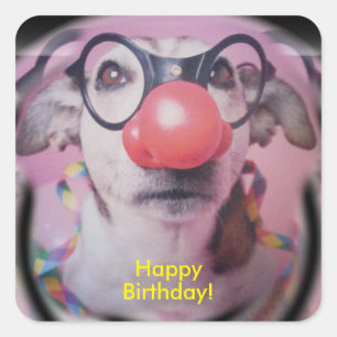 Jack Russell Terrier Happy Birthday Crazy Clown Quadratischer Aufkleber