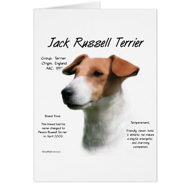Jack Russell Terrier History (Vorne)