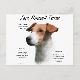 Jack Russell Terrier History Postkarte