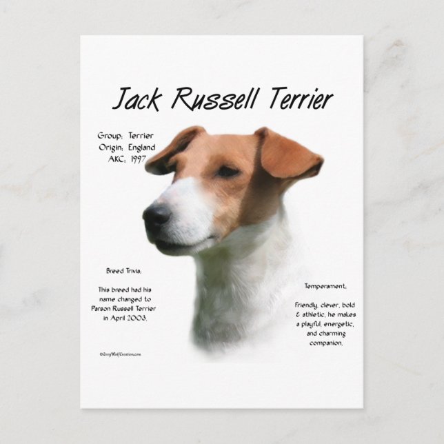 Jack Russell Terrier History Postkarte (Vorderseite)