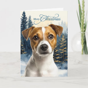 Jack Russell Terrier Hund Kiefernwald Weihnachten