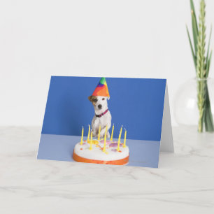 Jack Russell Terrier Hund mit Partyhut Karte