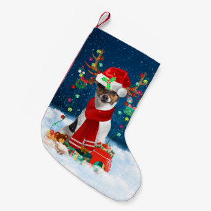 Jack Russell Terrier Hund mit Weihnachtsgeschenken Kleiner Weihnachtsstrumpf