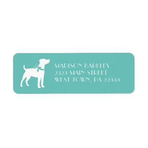 Jack Russell Terrier Hund Welpe