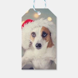 Jack Russell Terrier in einer Weihnachtsmannmütze Geschenkanhänger
