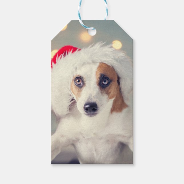 Jack Russell Terrier in einer Weihnachtsmannmütze  Geschenkanhänger (Vorderseite)