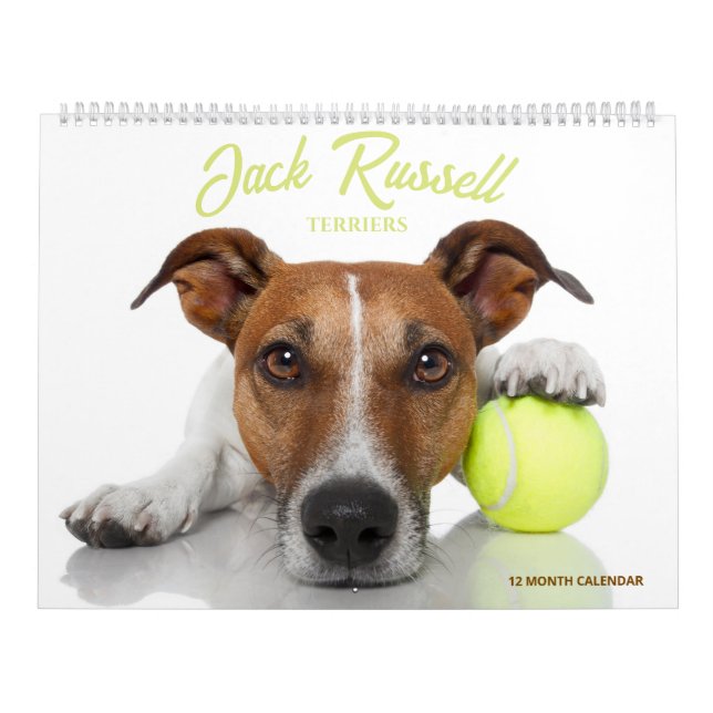 Jack Russell Terrier Kalender (Titelbild)
